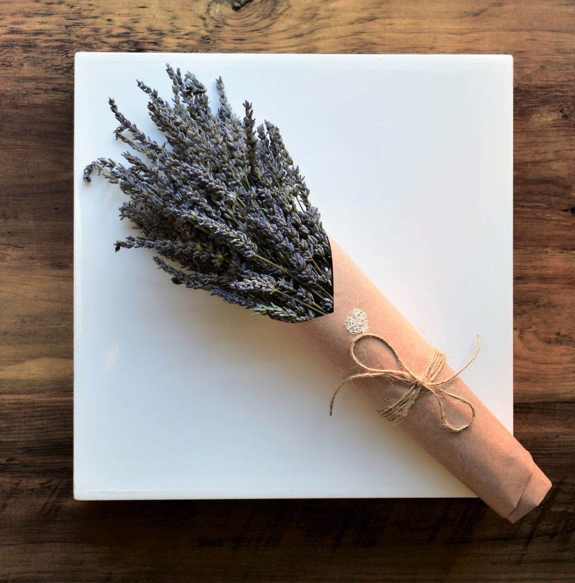 Dried Flower Stems Toi Toi Botanicals