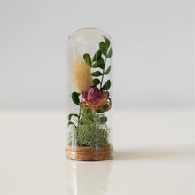 Load image into Gallery viewer, DIY Craft Kit - Mini dome available at Toi Toi Botancials