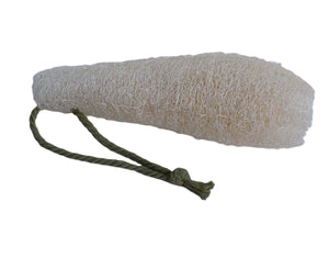 A natural loofah for gently exfoling the body