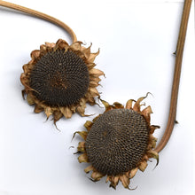 Load image into Gallery viewer, Buy a sunflower seed head to feed to the birds nz