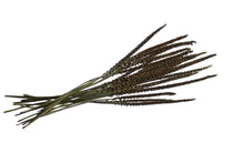 Load image into Gallery viewer, dried grasses nz | Toi Toi Botanicals