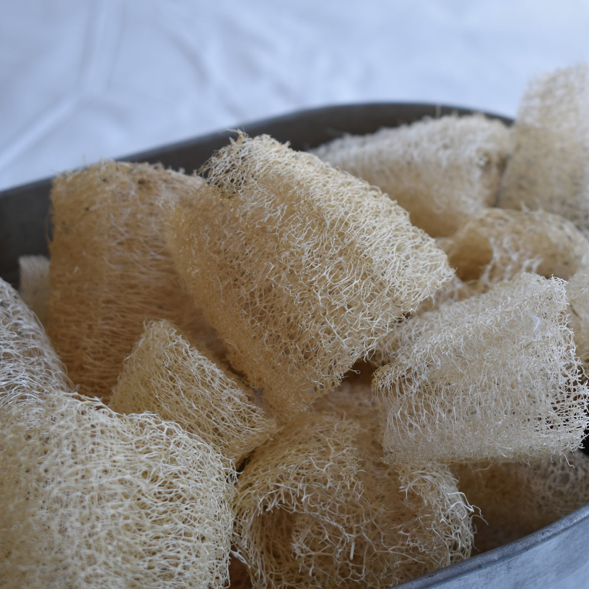 Bulk Loofah For Chinchilla's Toi Toi Botanicals