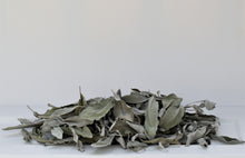 Load image into Gallery viewer, Dried white sage available at Toi Toi Botancials