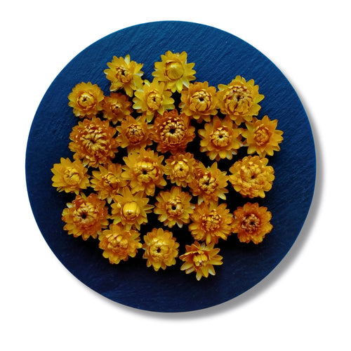 Antique gold strawflowers for potpourri or crafts