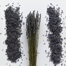 Load image into Gallery viewer, Super Blue Lavender Buds