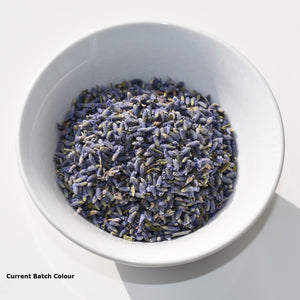 White bowl filled with dried lavender flowers on a white background