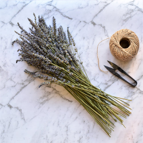 Dried lavender stems available from Toi Toi Botanicals