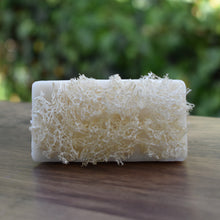 Load image into Gallery viewer, Sea Salt Loofah Foot Scrubs