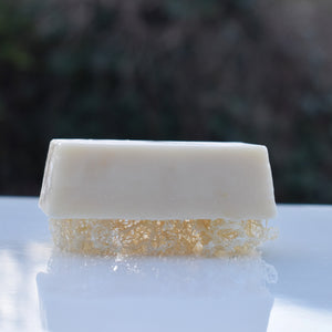 Sea Salt Loofah Foot Scrubs