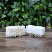 Load image into Gallery viewer, Sea Salt Loofah Foot Scrubs