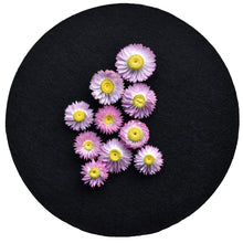 Load image into Gallery viewer, Pink paper daisies available at Toi Toi Botanicals