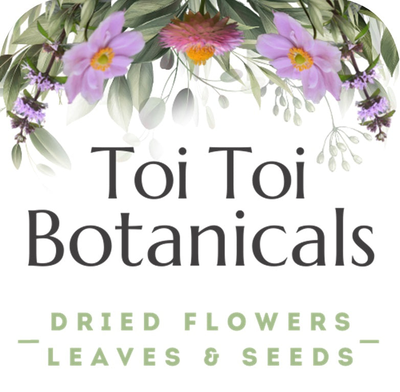 Orris Root Powder – Toi Toi Botanicals