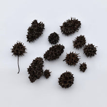 Load image into Gallery viewer, Sweet Gum Seed Pods - Natural