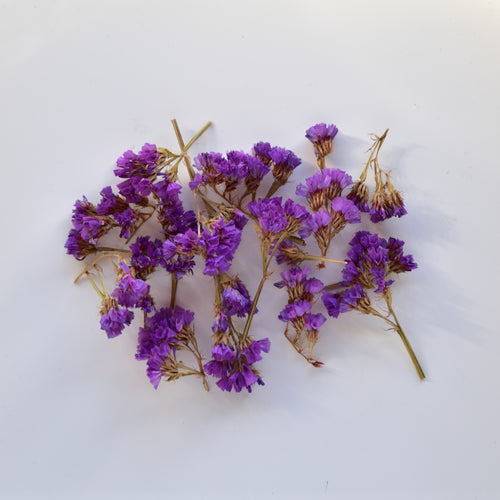 Purple statice pieces