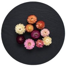 Load image into Gallery viewer, Mixed Colour Dried Strawflowers