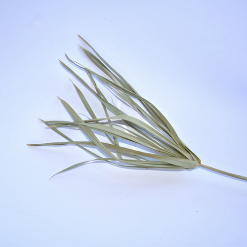 Palm style stem
