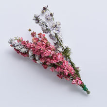 Load image into Gallery viewer, dried delphinium