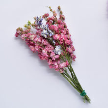 Load image into Gallery viewer, dried larkspur delphinium