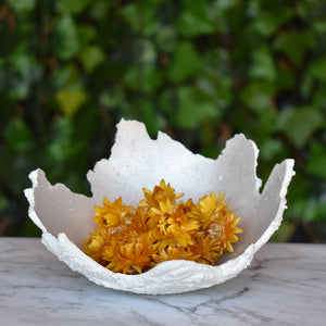 Antique gold / yellow dried strawflowers available at Toi Toi Botanicals