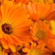 Load image into Gallery viewer, Calendula petals for our infused calendula oil
