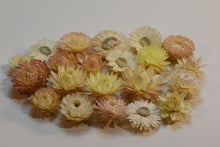 Load image into Gallery viewer, Light coloured dried strawflowers / helichrysums
