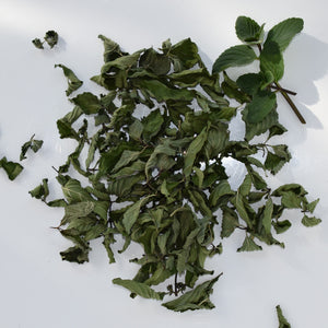 Dried spearmint leaves nz
