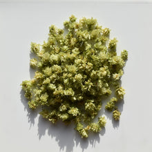 Load image into Gallery viewer, Dried NZ hops flowers cones | Hops for tea