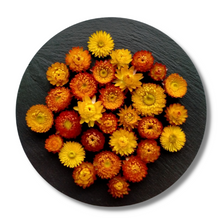 Load image into Gallery viewer, Orange dried strawflowers for floral arrangements