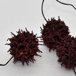 Red spky sweet gum pods for sale at Toi Toi Botanicals