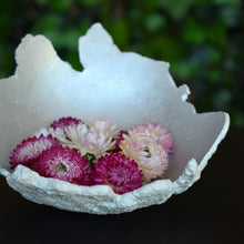 Load image into Gallery viewer, white and red dried straw flowers in silver bowl | Toi Toi Botanicals