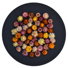 Load image into Gallery viewer, Small dried strawflowers | Dried helichrysum nz