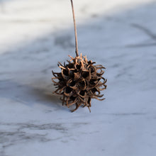 Load image into Gallery viewer, pods and cones for crafts | spiky sweet gum