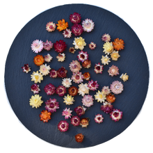 Load image into Gallery viewer, Tiny Strawflowers Mixed Colour