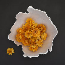 Load image into Gallery viewer, Gold coloured dried strawflowers for sale at Toi Toi Botanicals
